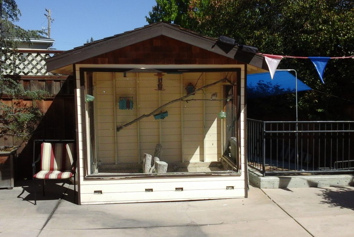 A small shed with a cat sitting inside of it.