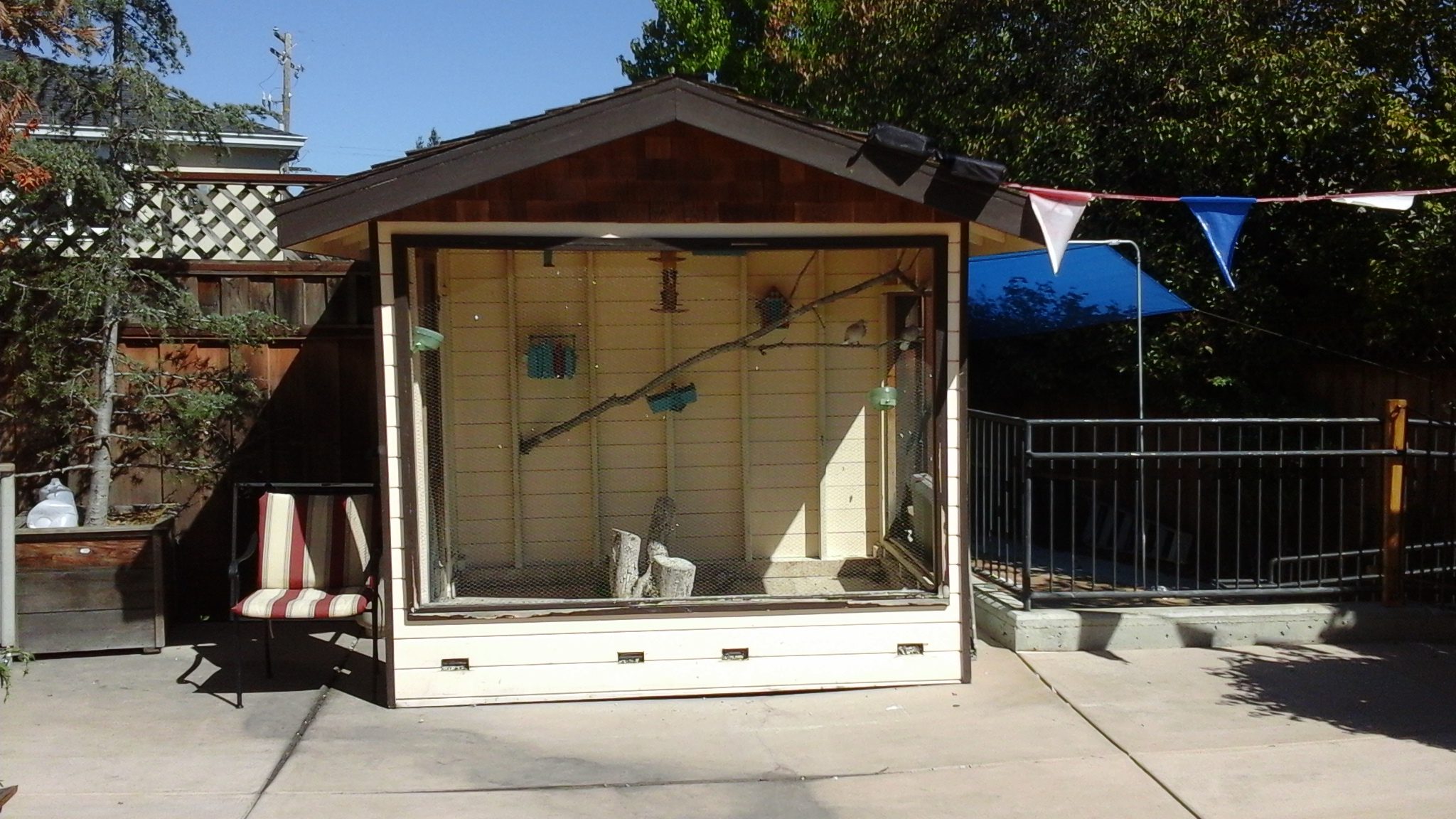 A small shed with a cat sitting inside of it.