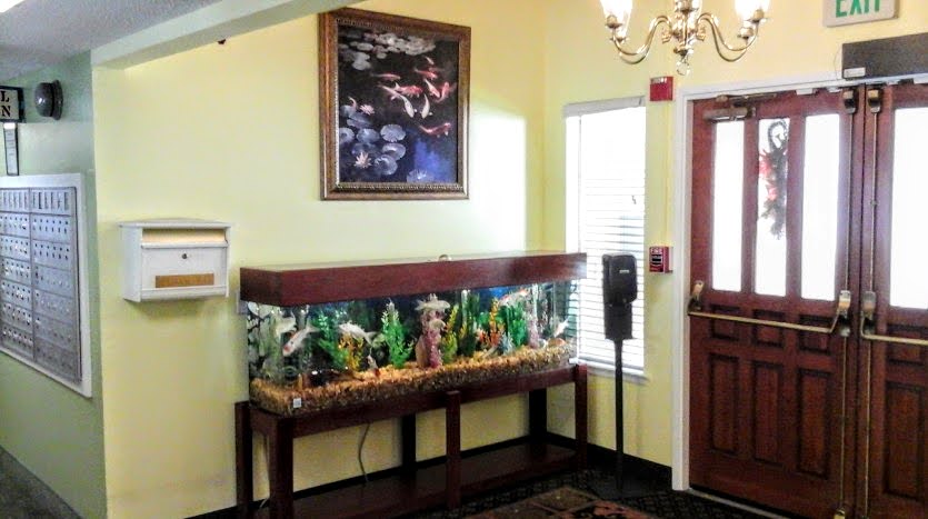 A fish tank in the corner of a room.