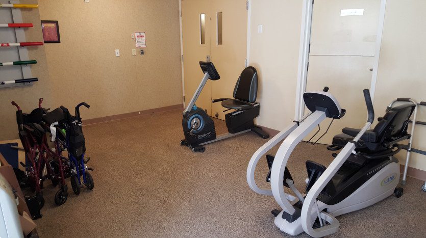 A room with a bike and exercise equipment.