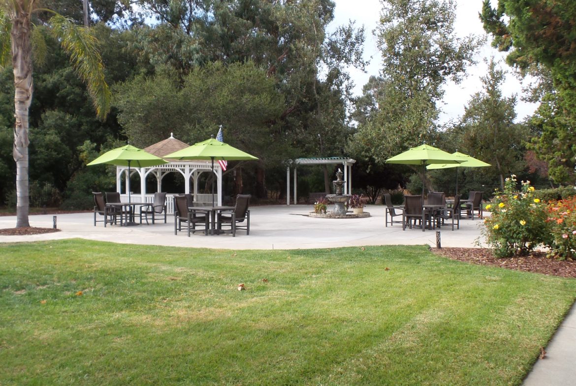 A large lawn with tables and chairs, umbrellas.