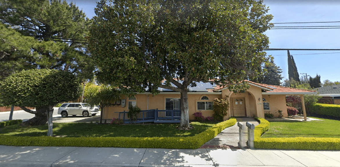 A large tree in front of a house.