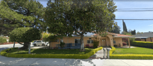 A large tree in front of a house.