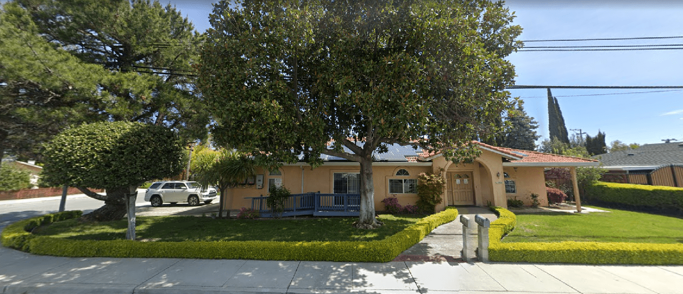 A large tree in front of a house.