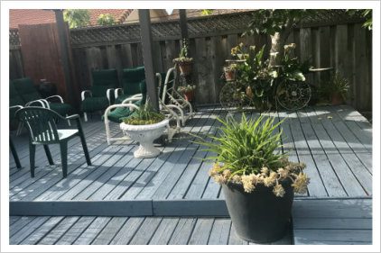 A patio with chairs, potted plants and tables.