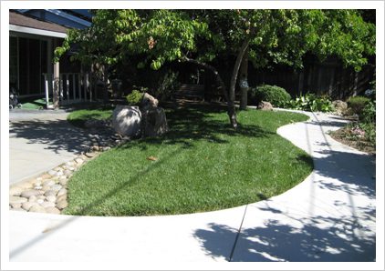 A lawn that has been cut in half.