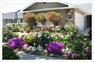 A house with many flowers in the yard