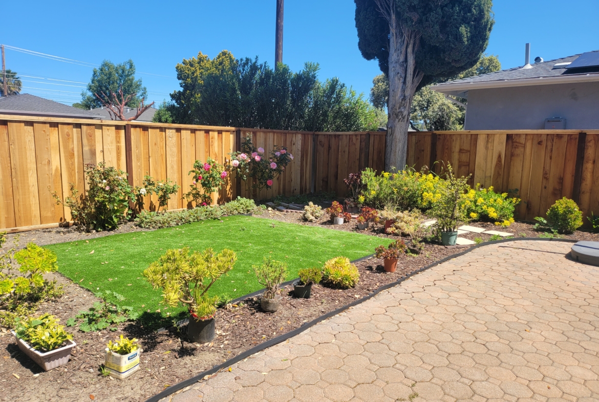 A backyard with a garden and trees in the background.