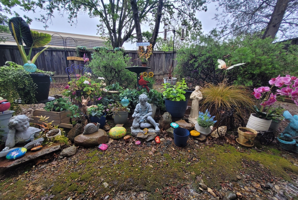 A garden with many different plants and flowers.