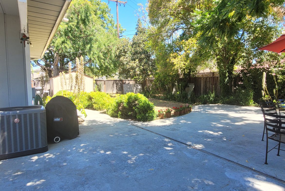 A large backyard with trees and bushes.