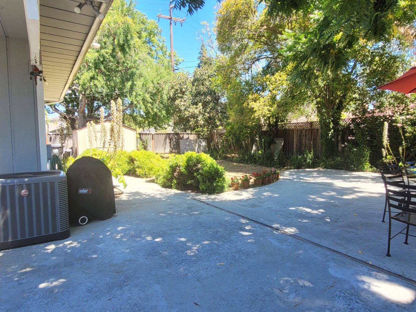 A large backyard with trees and bushes.