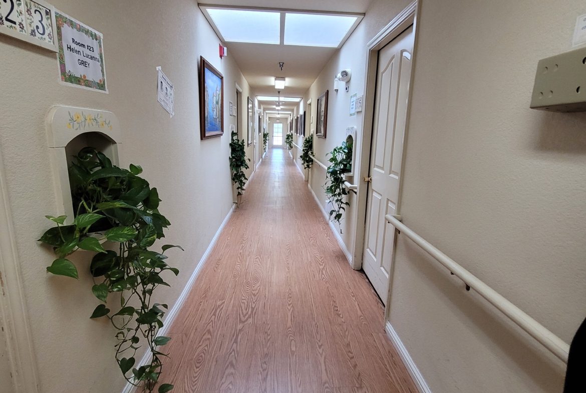 A hallway with many plants and a window.