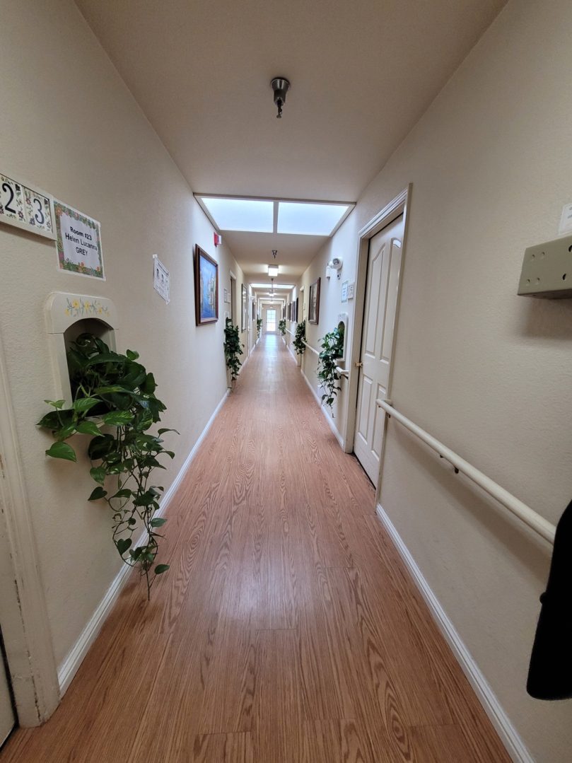 A hallway with many plants and a window.