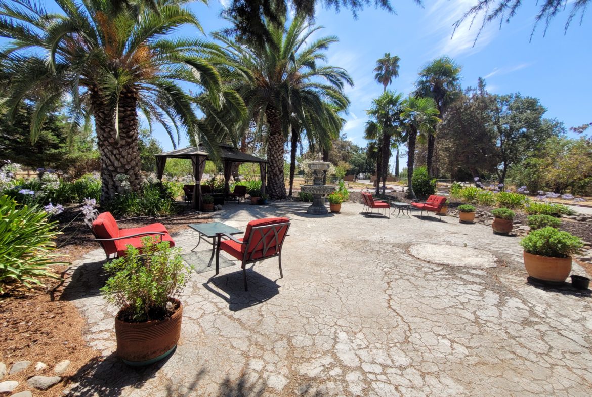 A patio with chairs and potted plants in the middle of it.