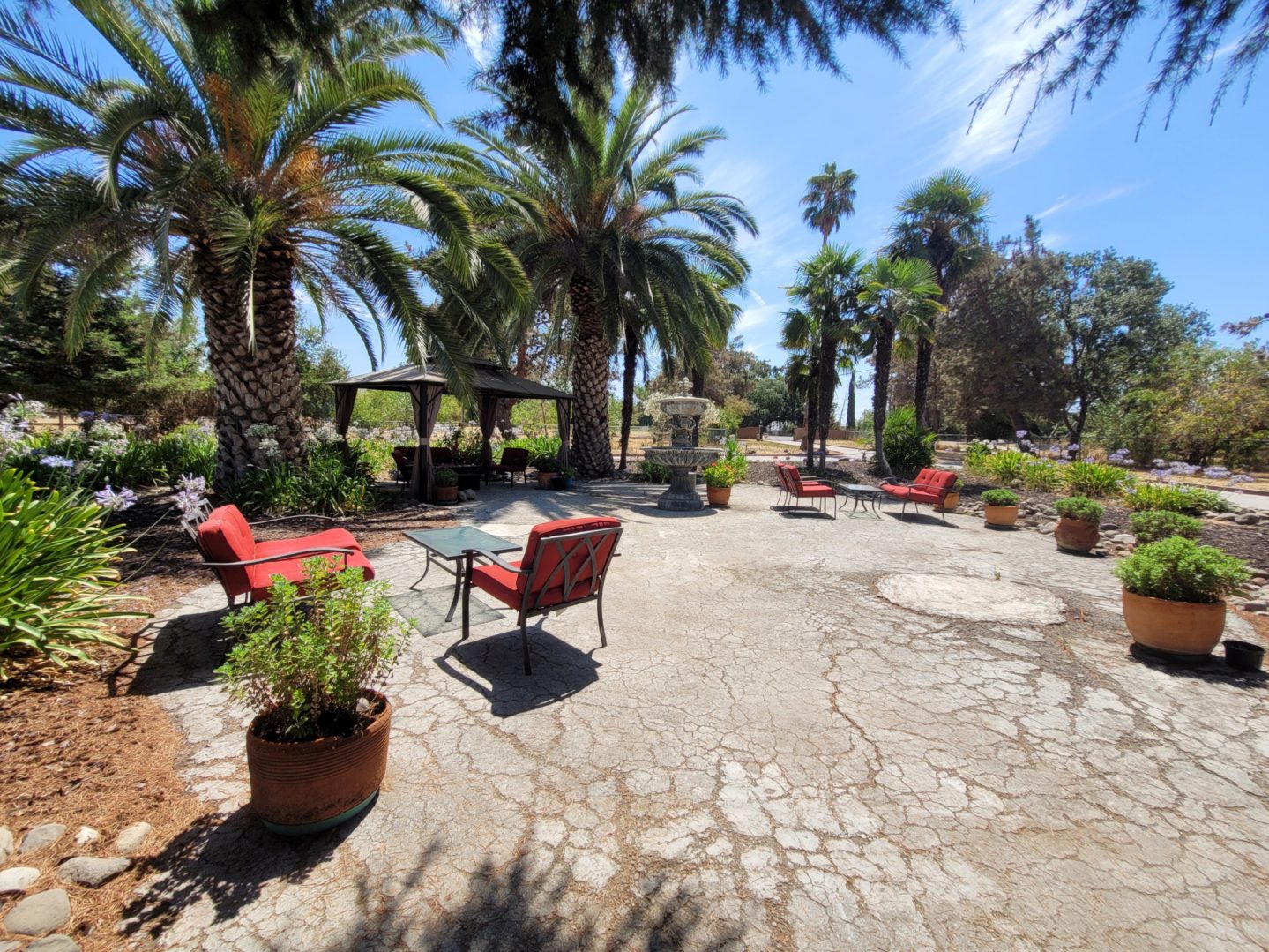 A patio with chairs and potted plants in the middle of it.