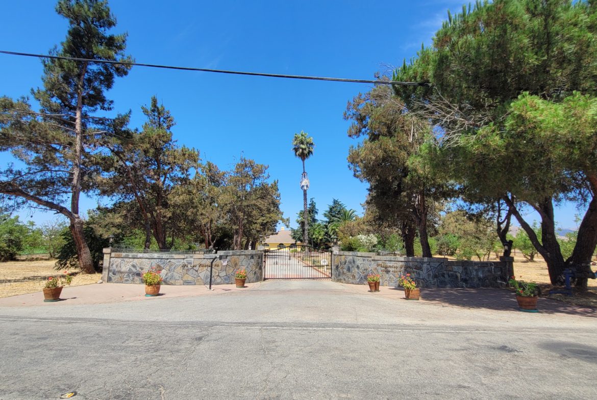 A view of trees and bushes in the distance.