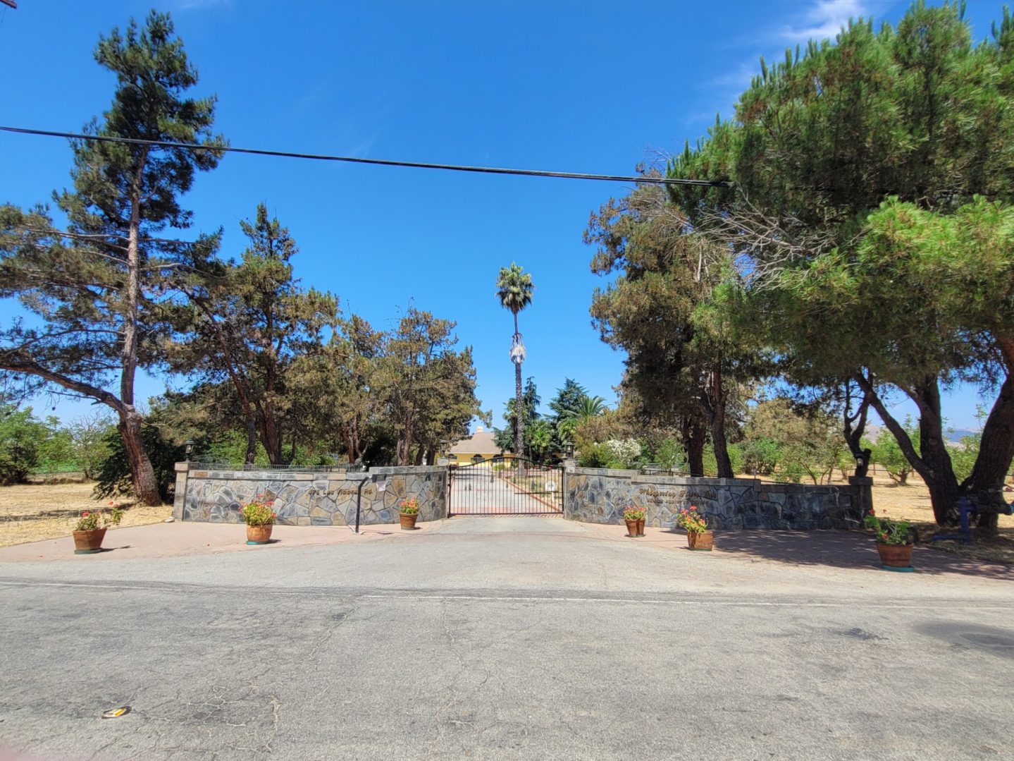 A view of trees and bushes in the distance.