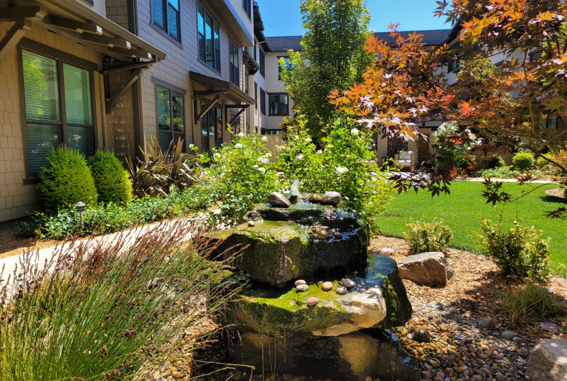 A garden with rocks and plants in the middle of it