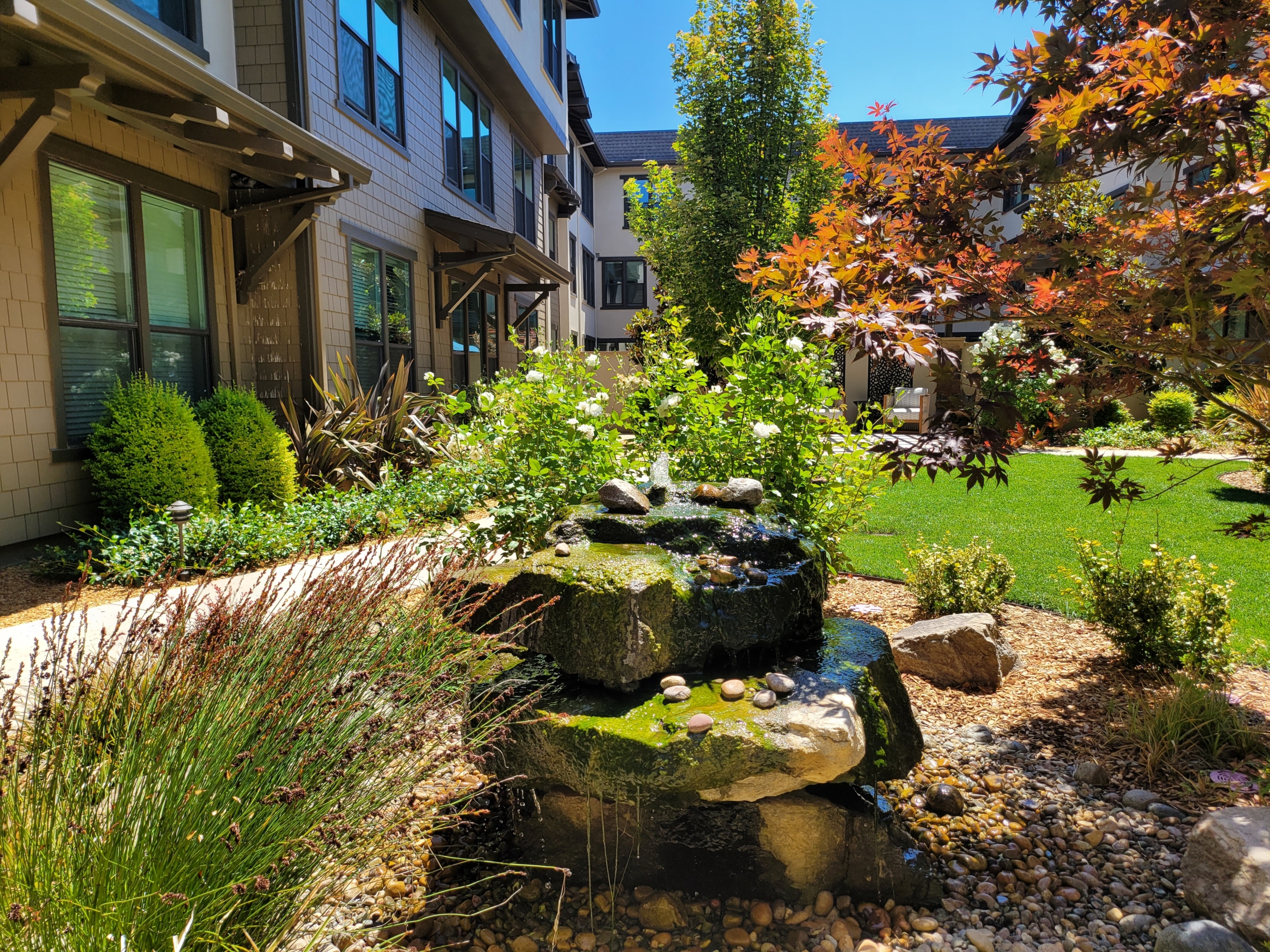 A garden with rocks and plants in the middle of it