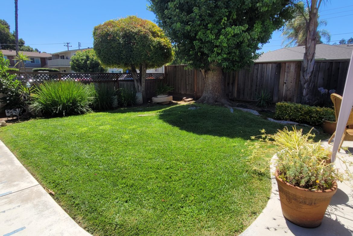 A backyard with grass and trees in the background.