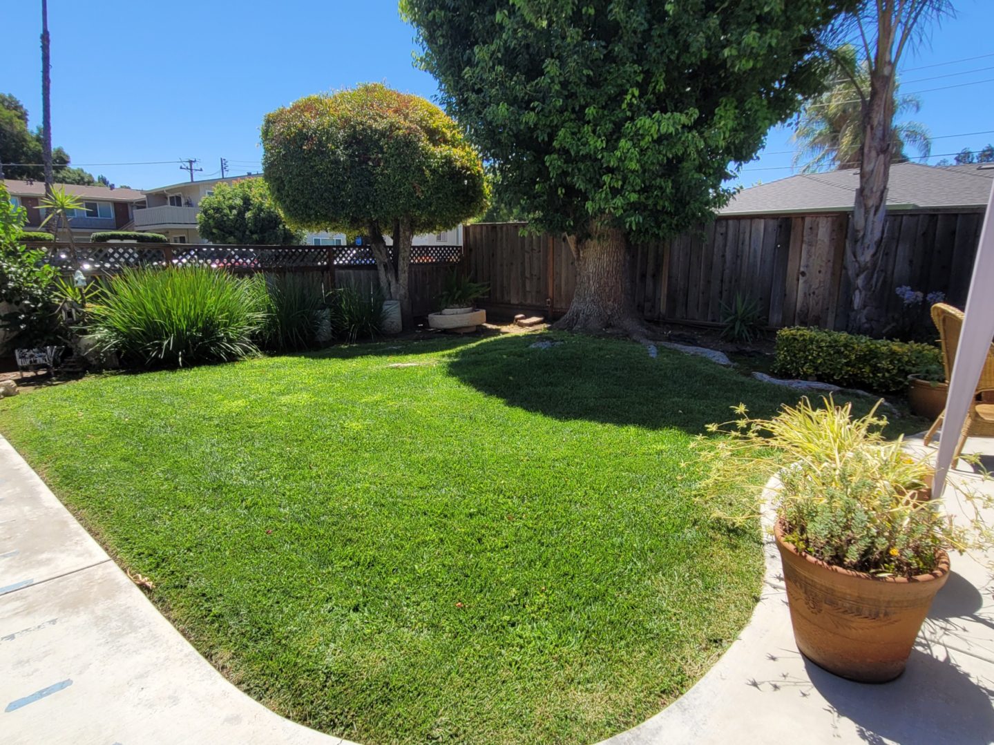 A backyard with grass and trees in the background.