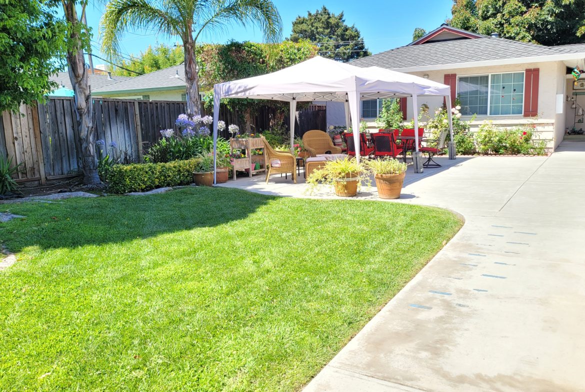 A lawn with grass and trees in the background.