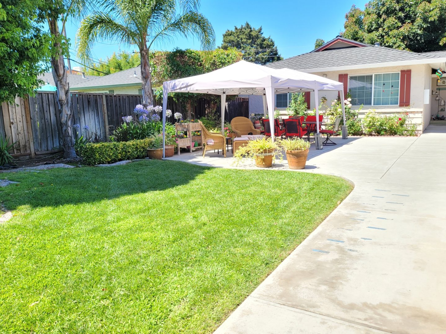 A lawn with grass and trees in the background.