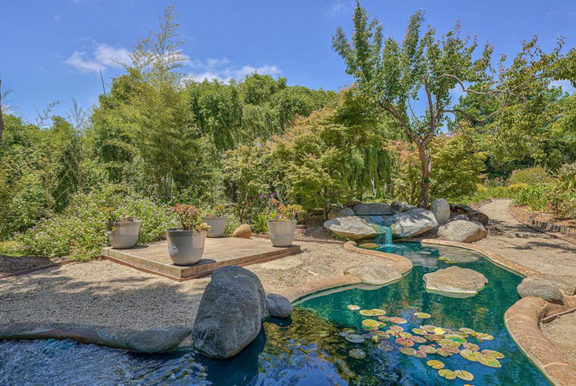 A pond with water lilies and rocks in the middle of it.