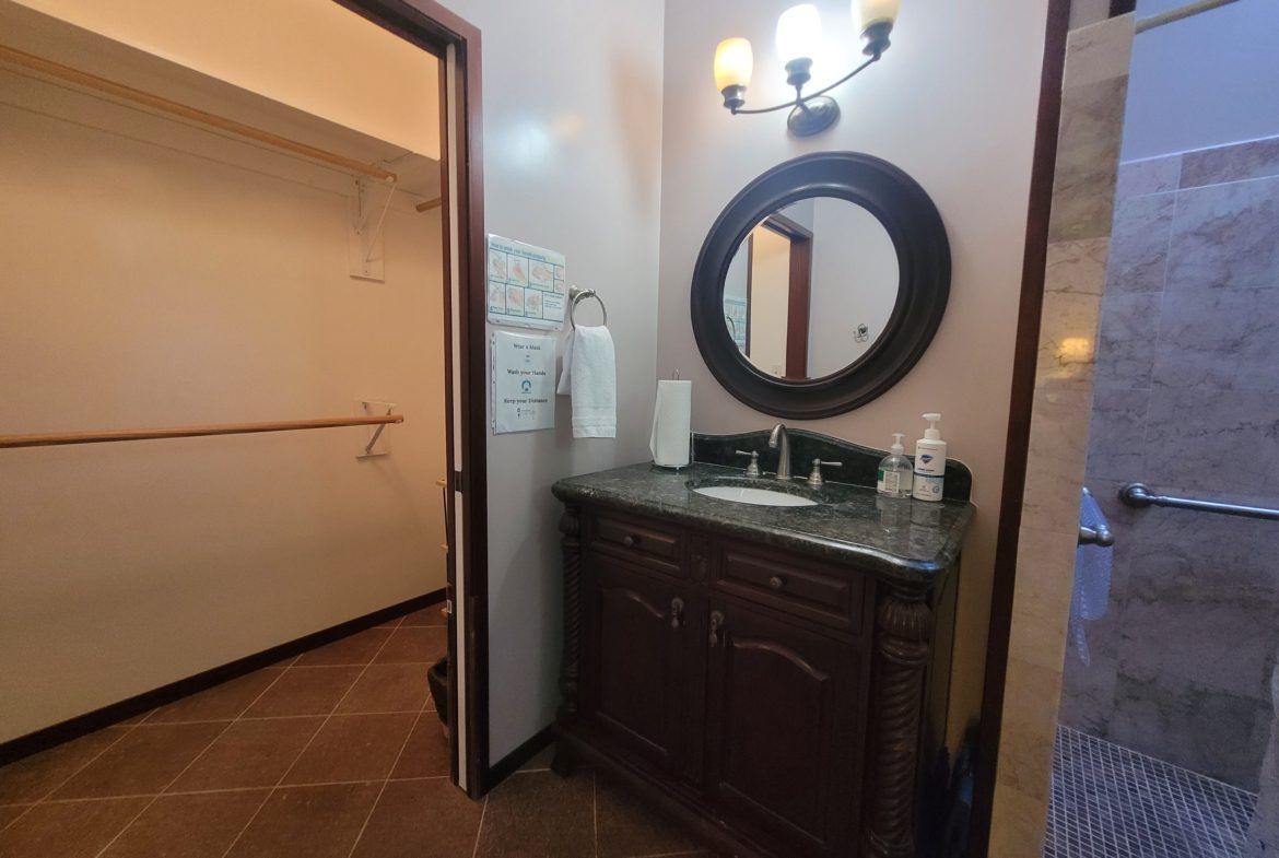 Bathroom vanity with mirror and closet entrance.