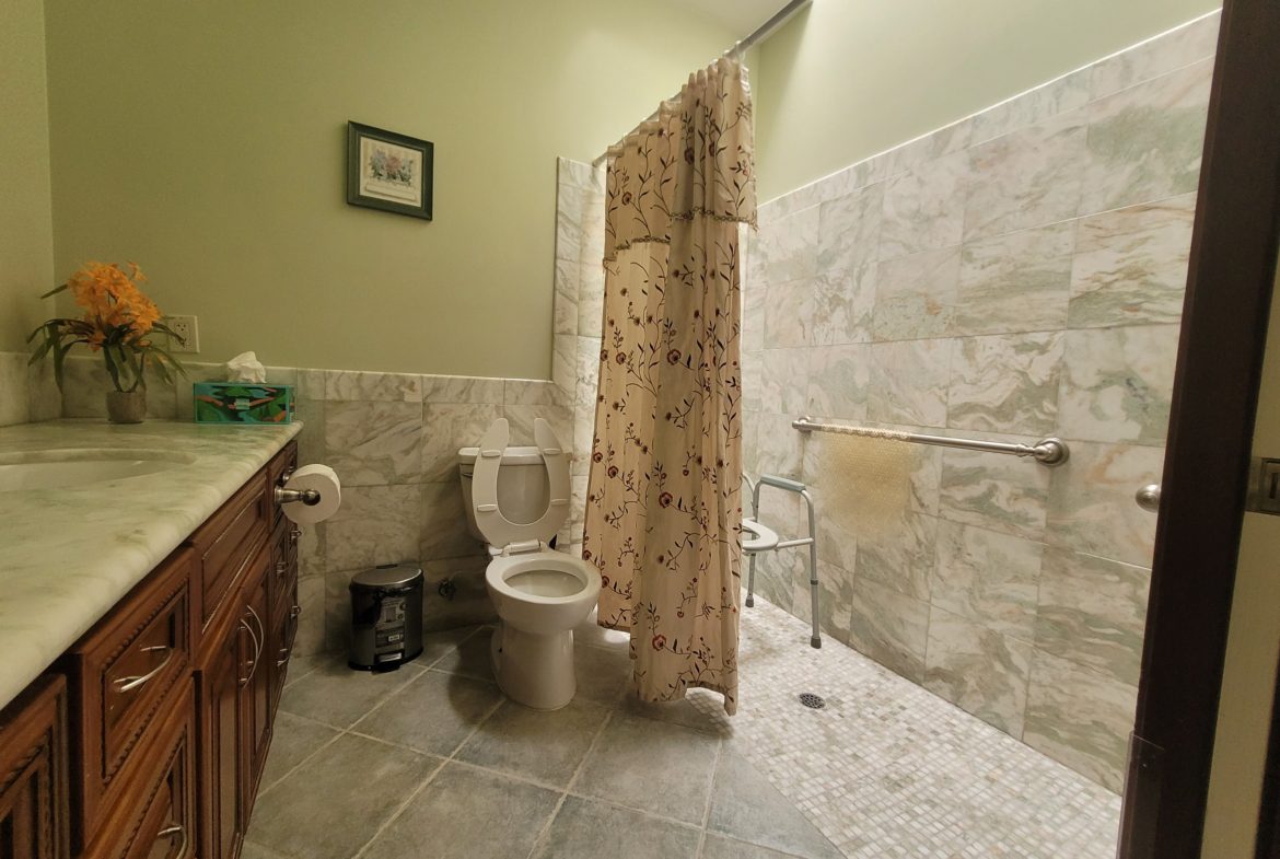 Bathroom with shower, toilet, and vanity area.