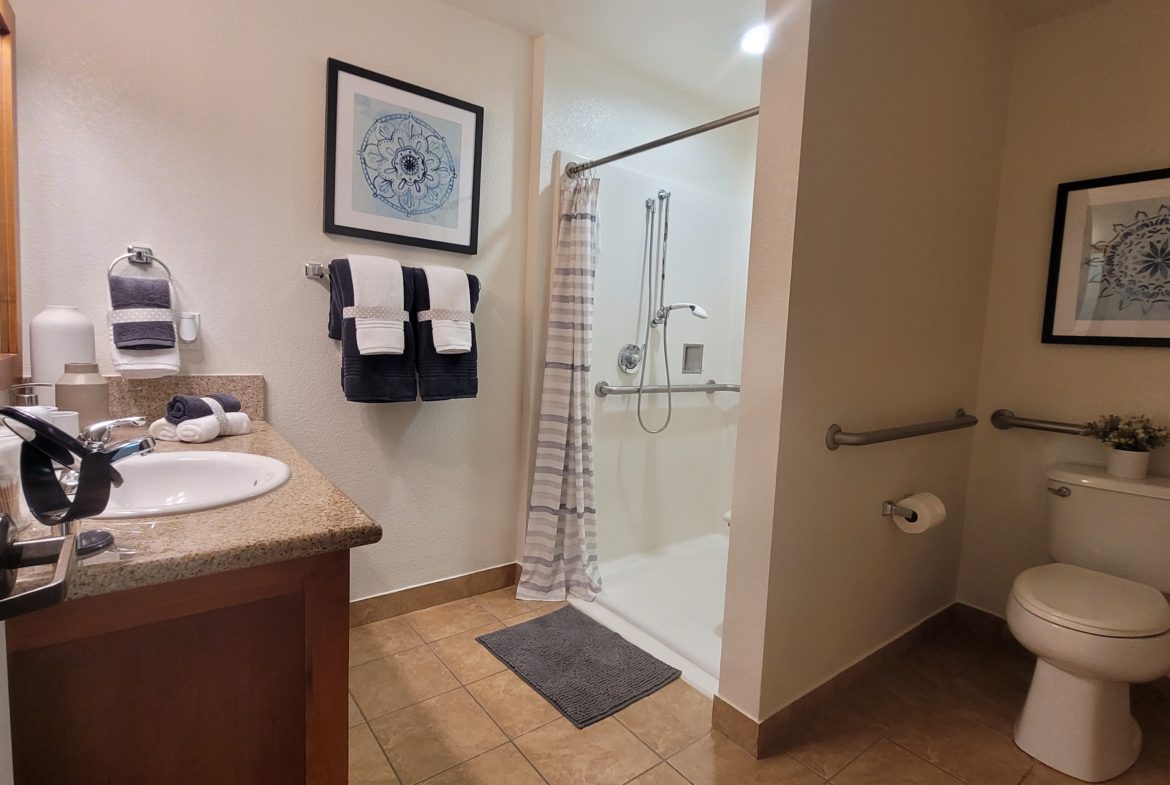 Accessible bathroom with shower and toilet.