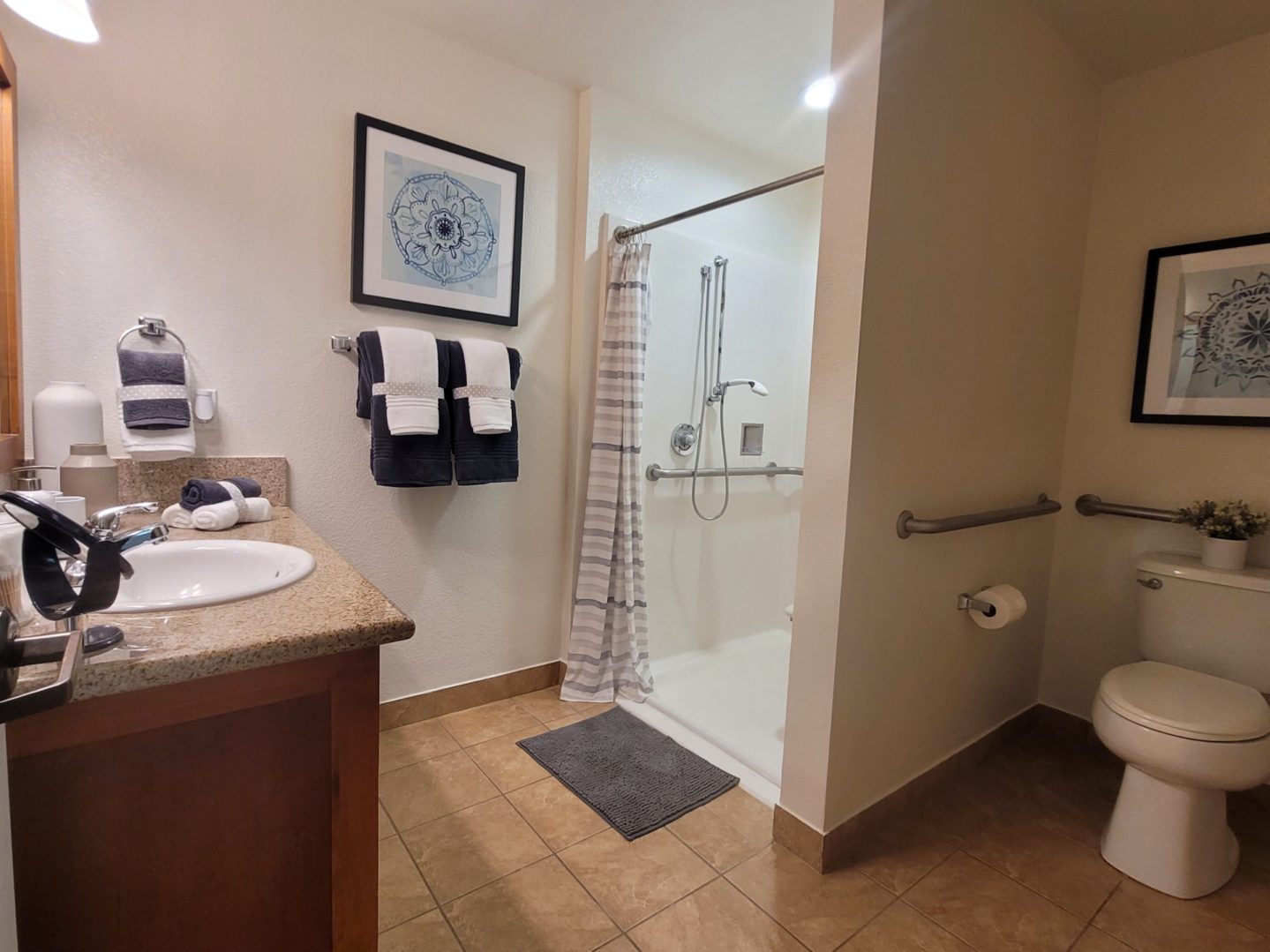 Accessible bathroom with shower and toilet.