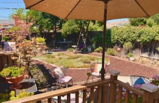 Backyard garden with patio furniture and umbrella.