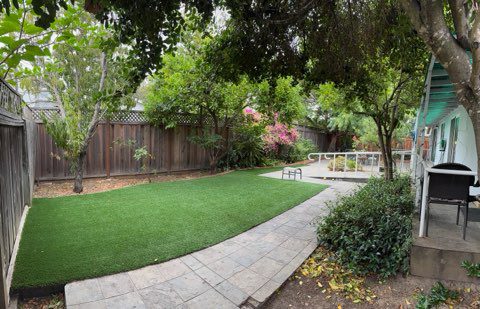 Backyard with lawn, trees, and patio area.