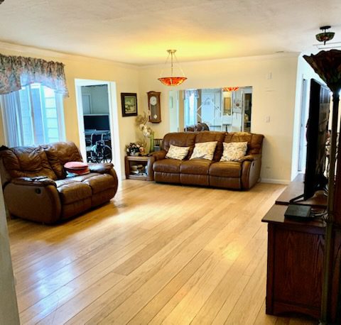 Cozy living room with leather sofas.
