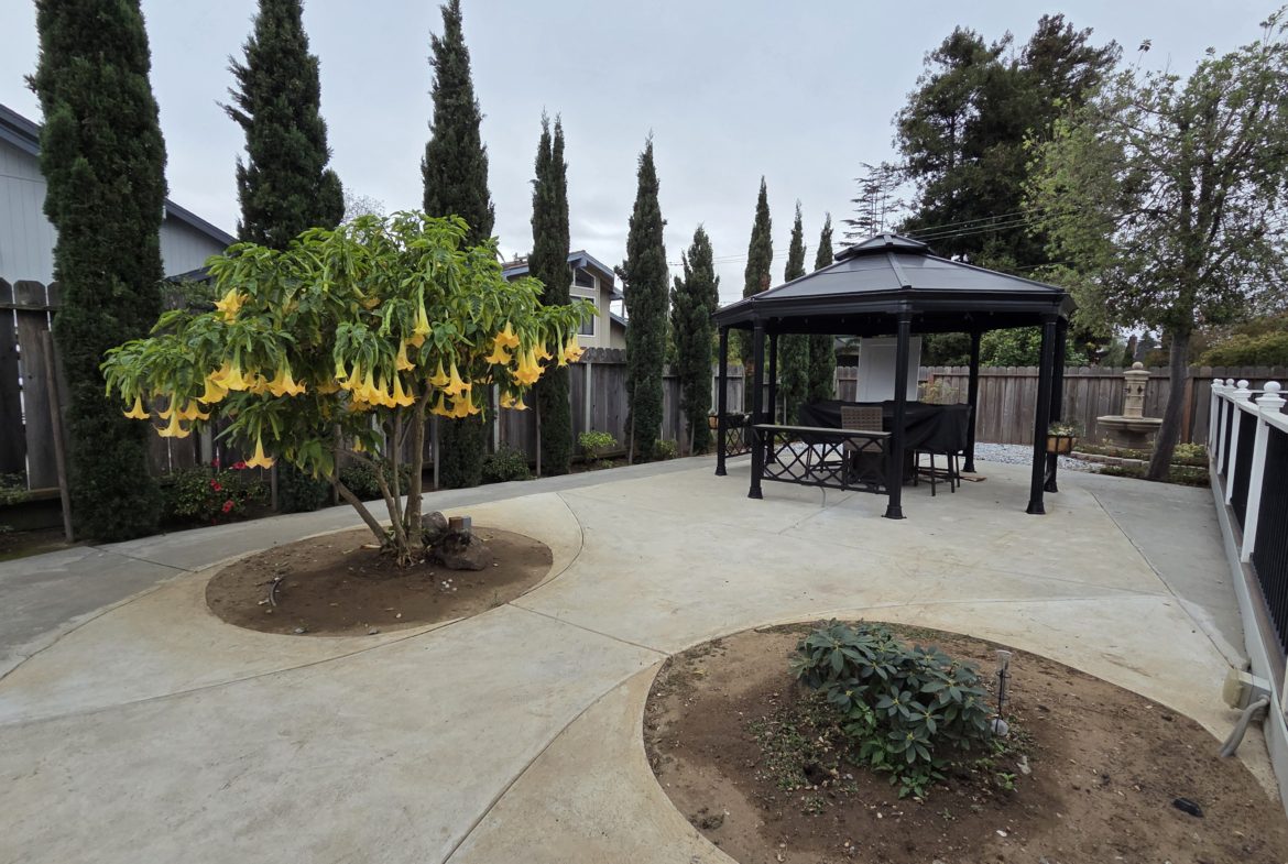 Backyard with gazebo and flowering tree.