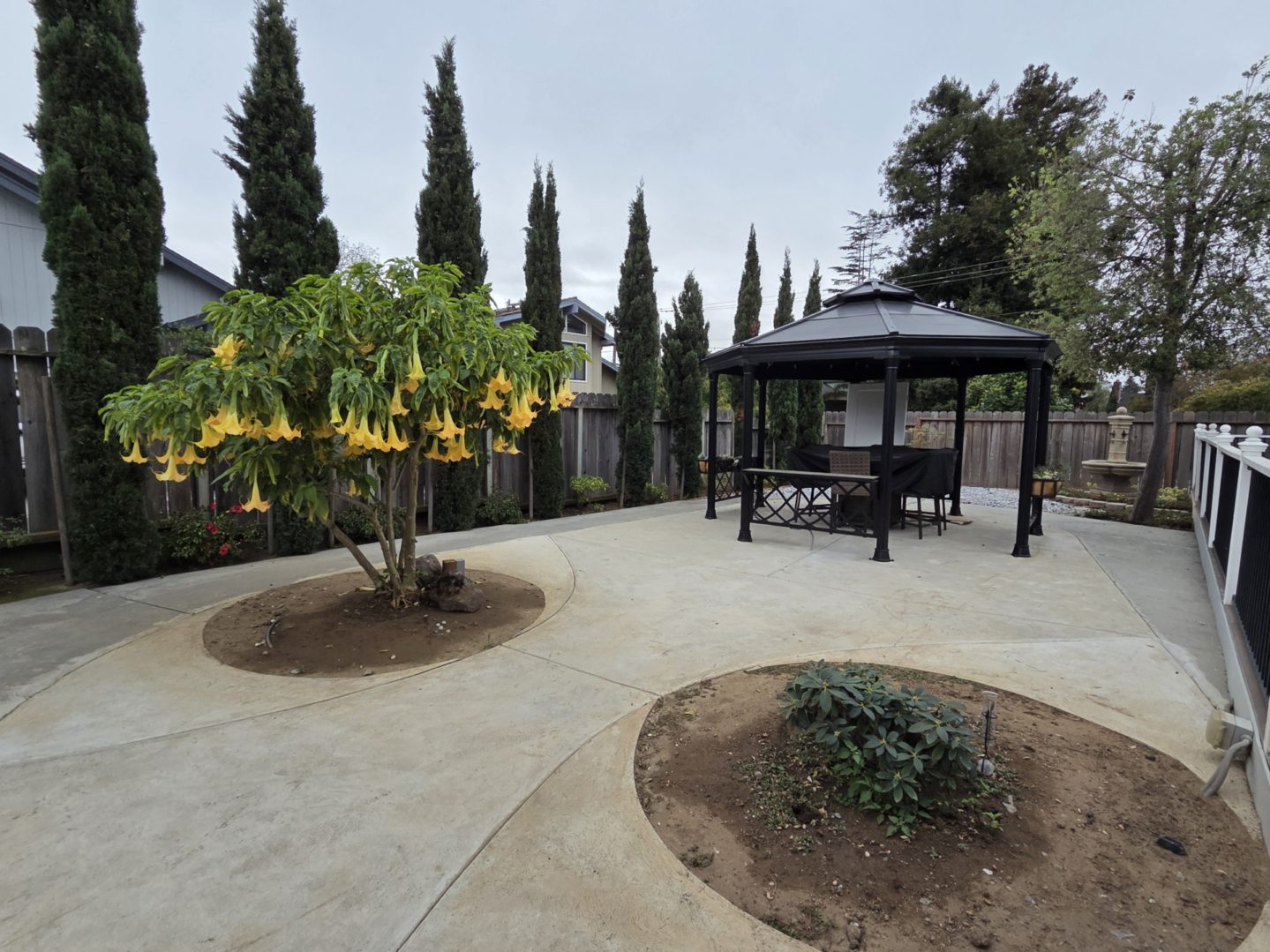 Backyard with gazebo and flowering tree.