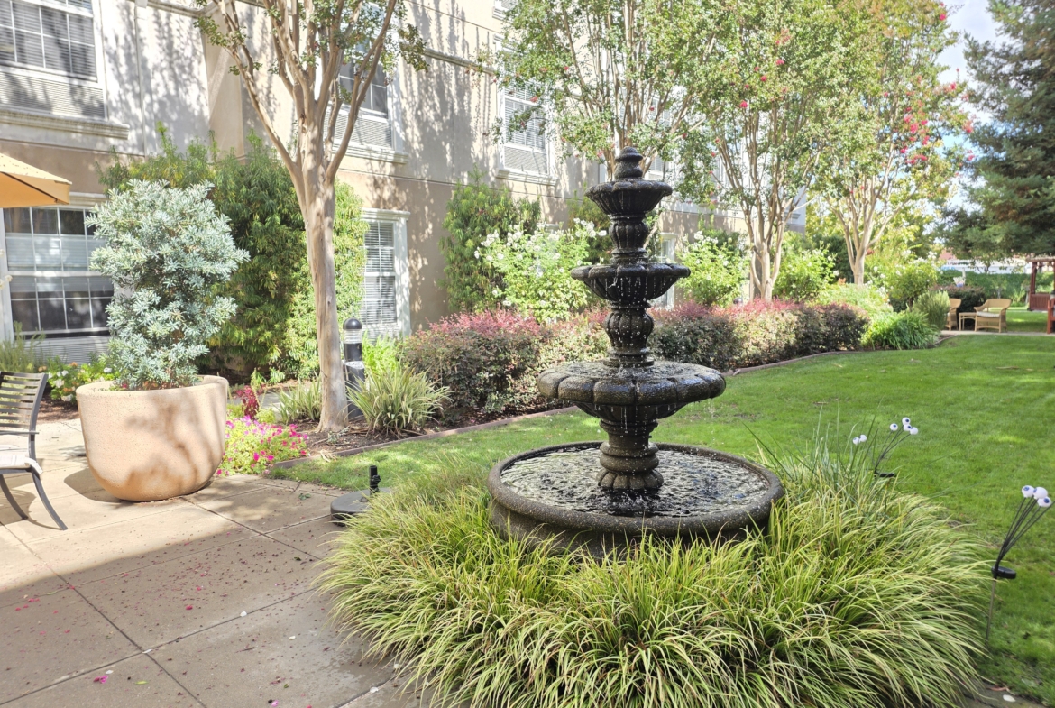 Garden with fountain and surrounding greenery.