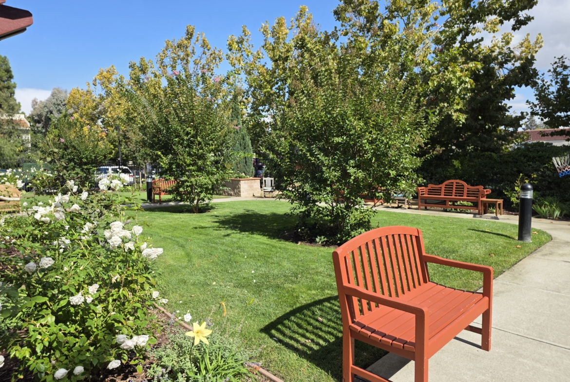 Park area with benches and green trees.