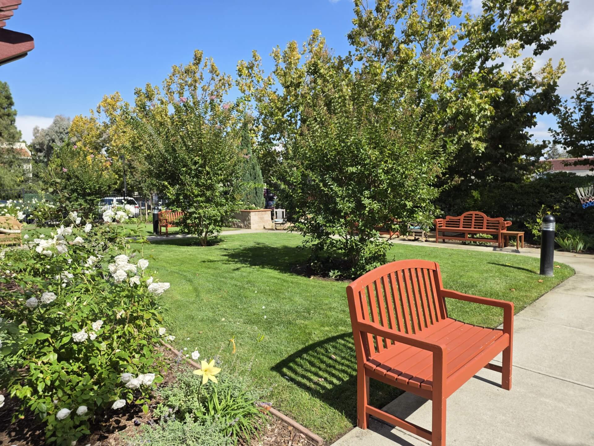 Park area with benches and green trees.