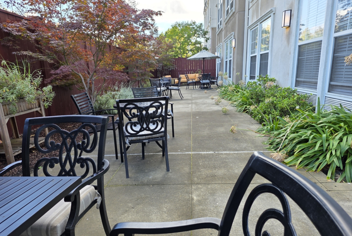 Outdoor patio with chairs and plants.