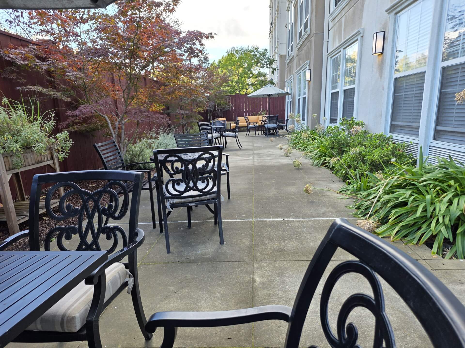 Outdoor patio with chairs and plants.