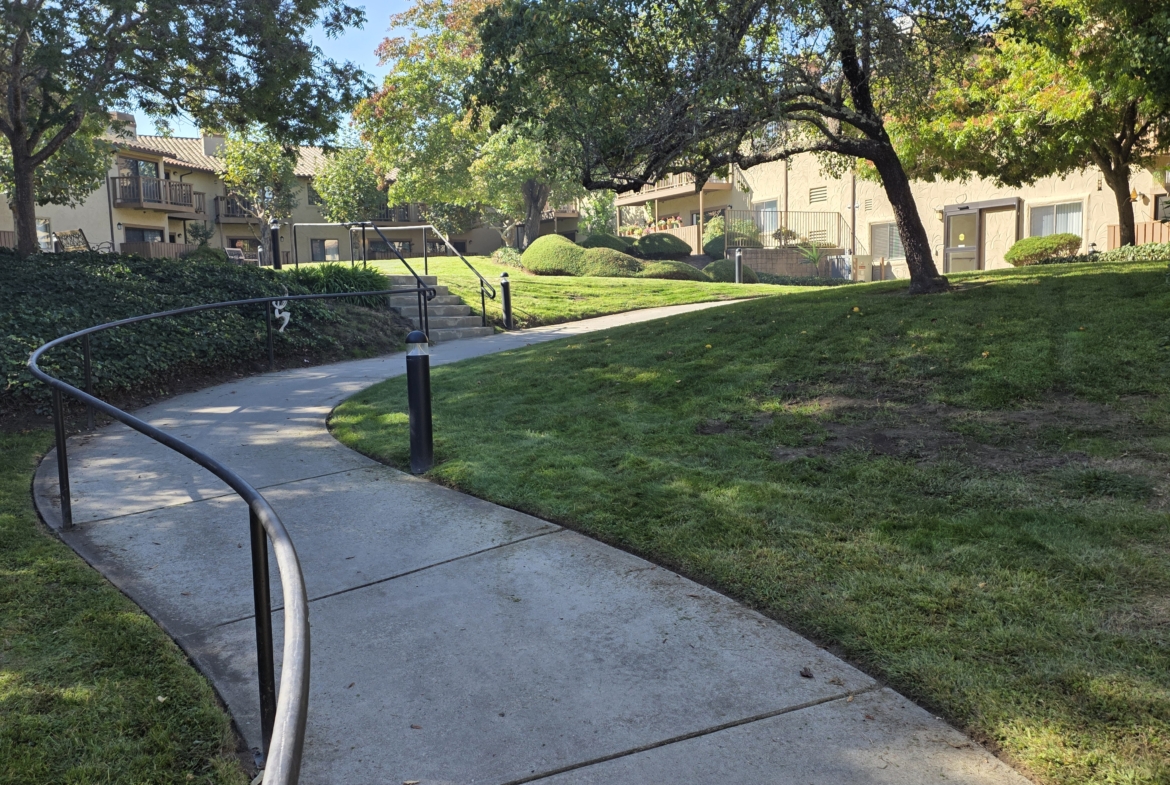 Winding pathway through a sunny residential area.