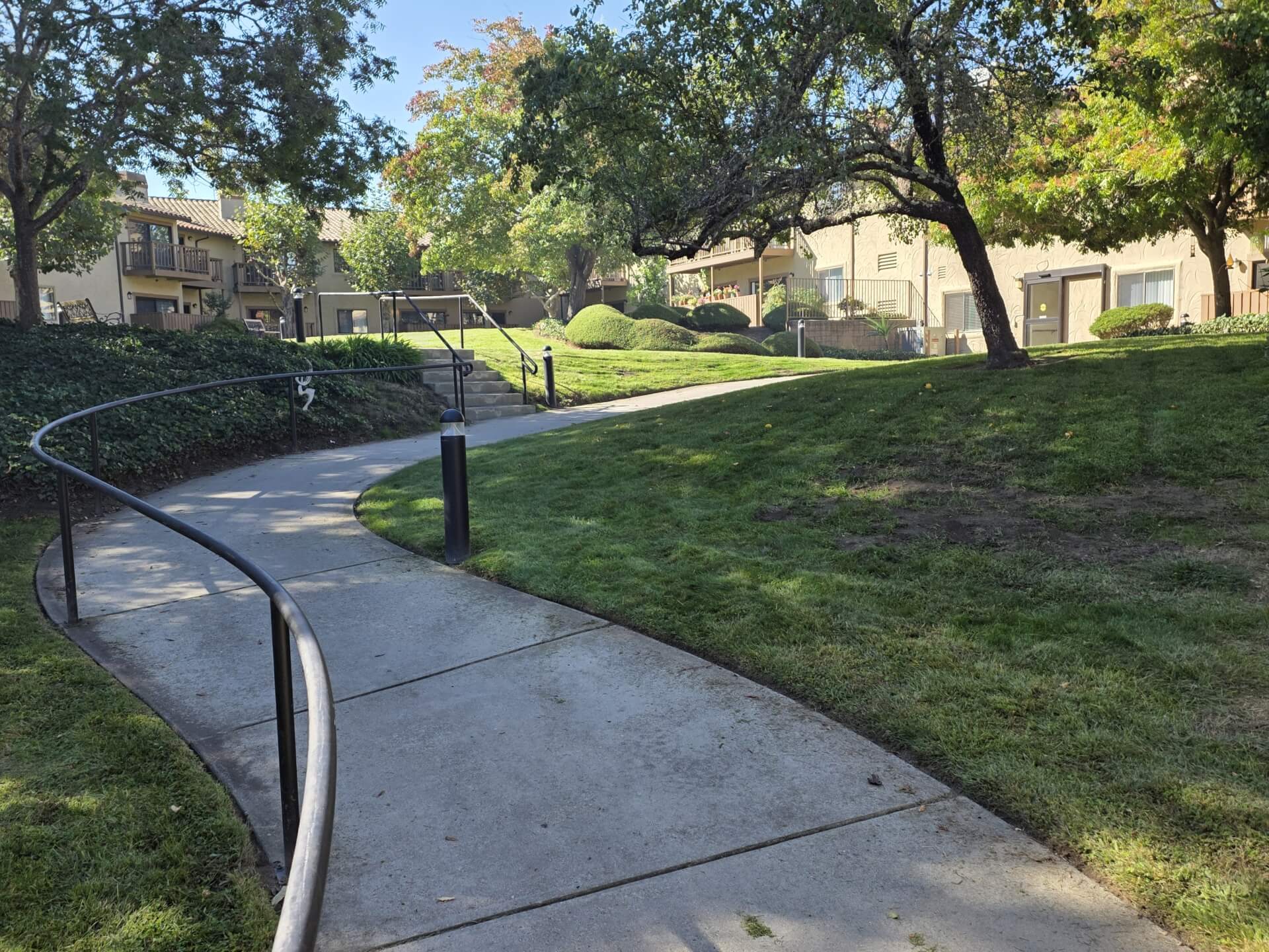 Winding pathway through a sunny residential area.