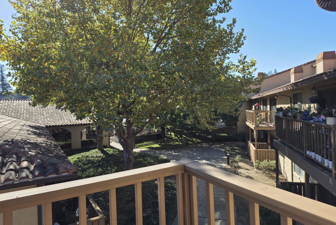 Balcony view of courtyard and tree.
