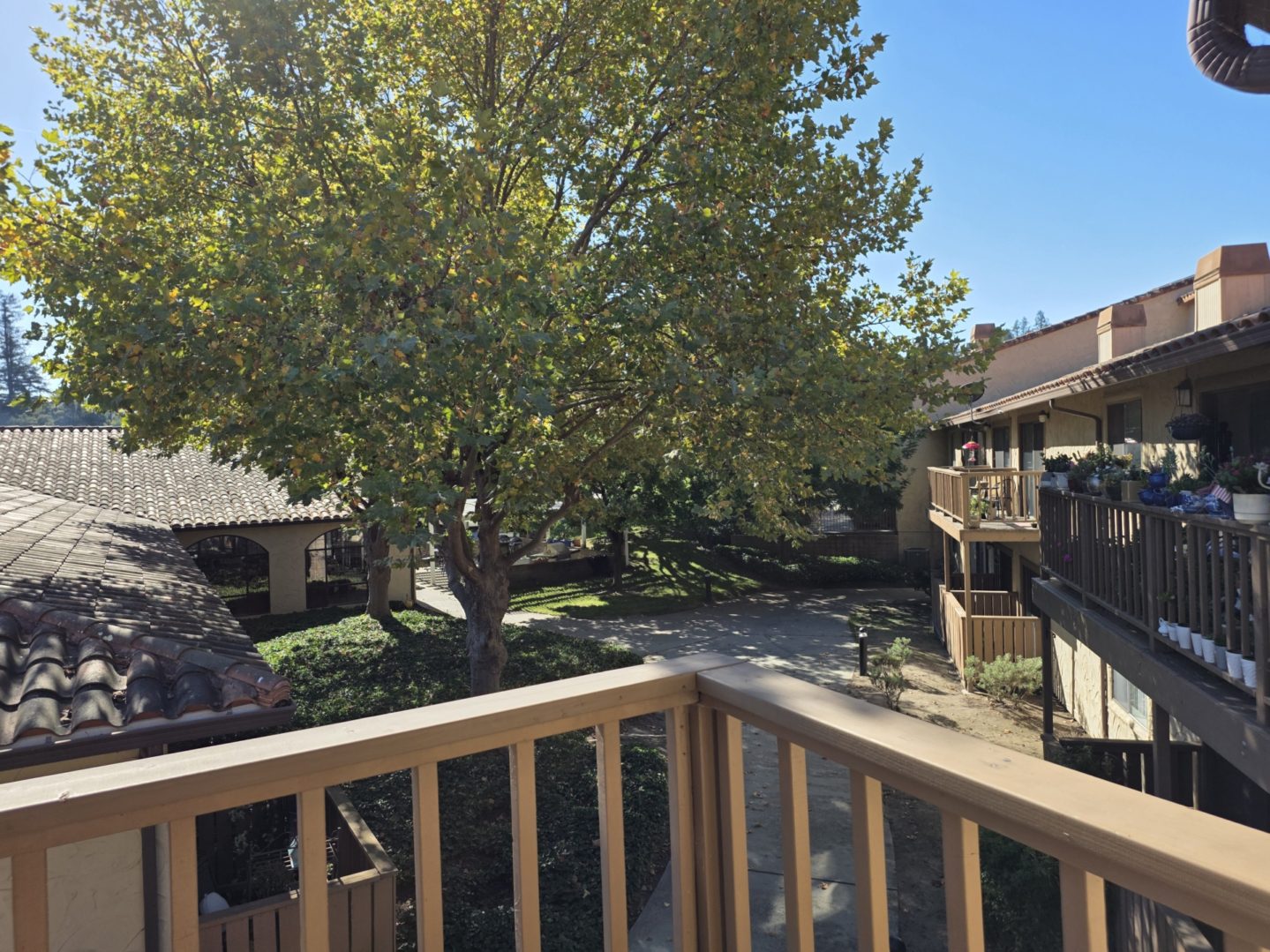 Balcony view of courtyard and tree.