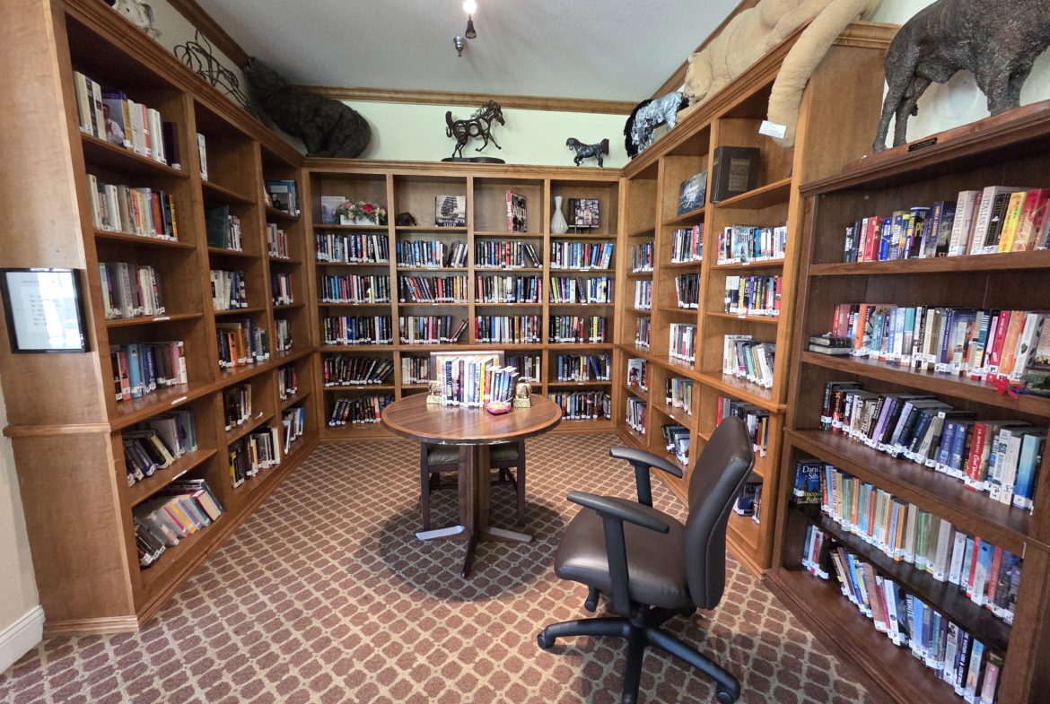 Cozy library corner with bookshelves and chair.