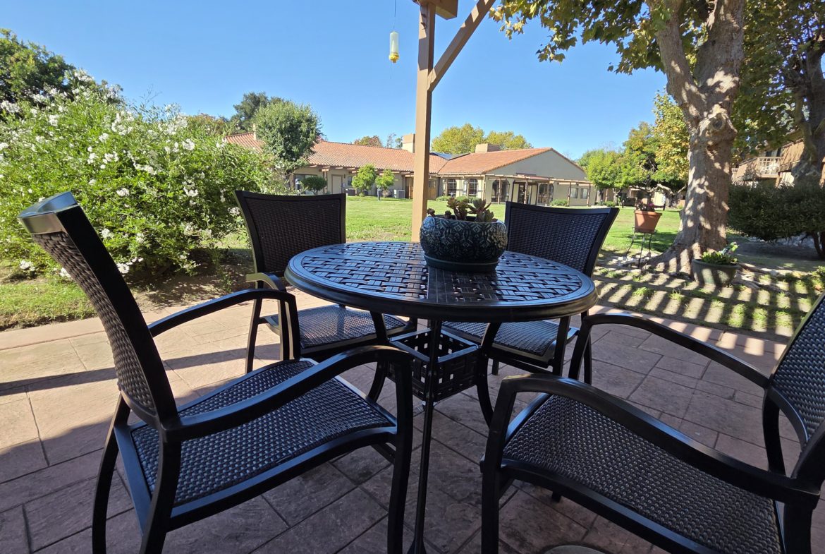 Patio furniture under pergola in sunny yard.