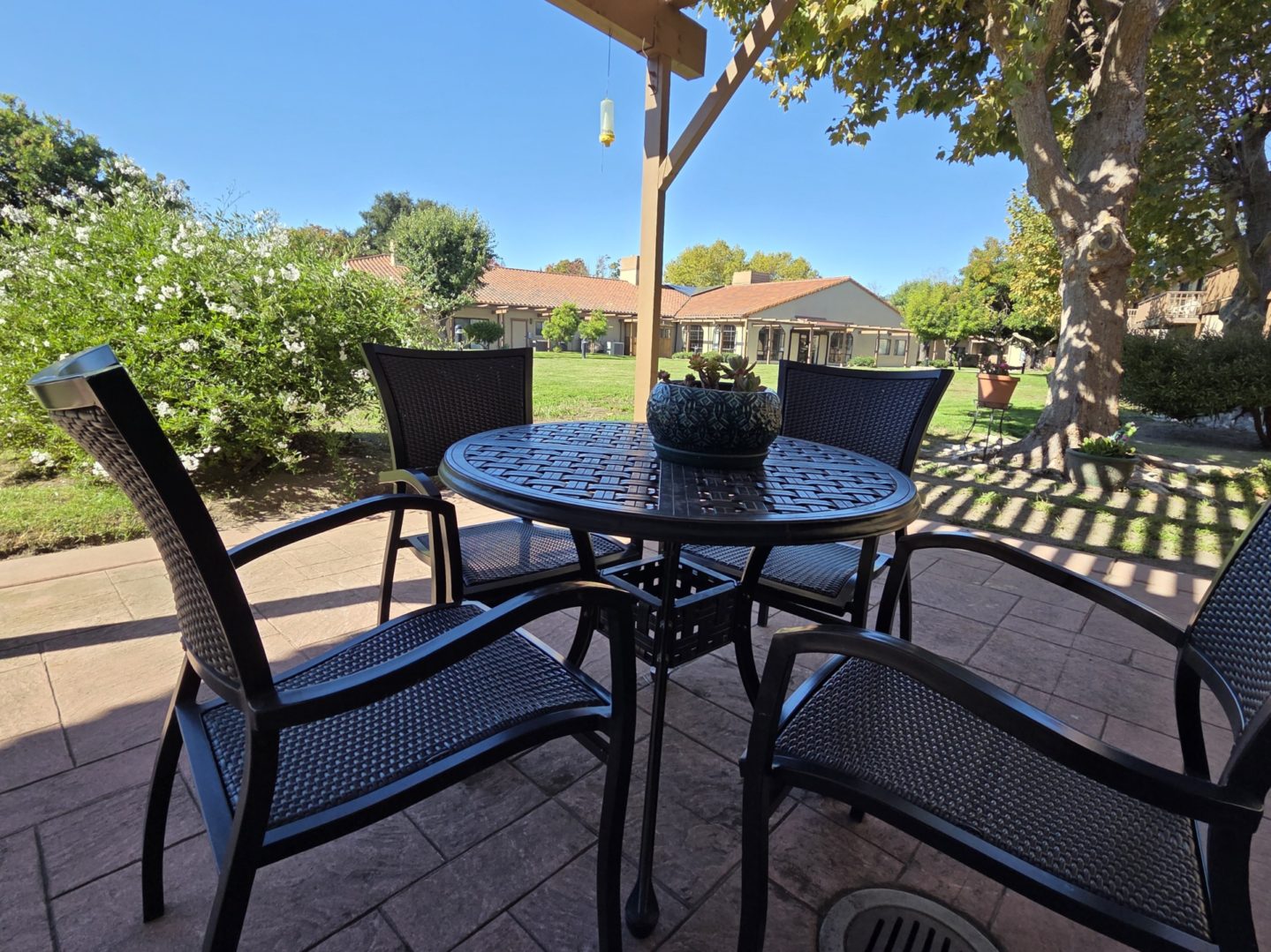 Patio furniture under pergola in sunny yard.