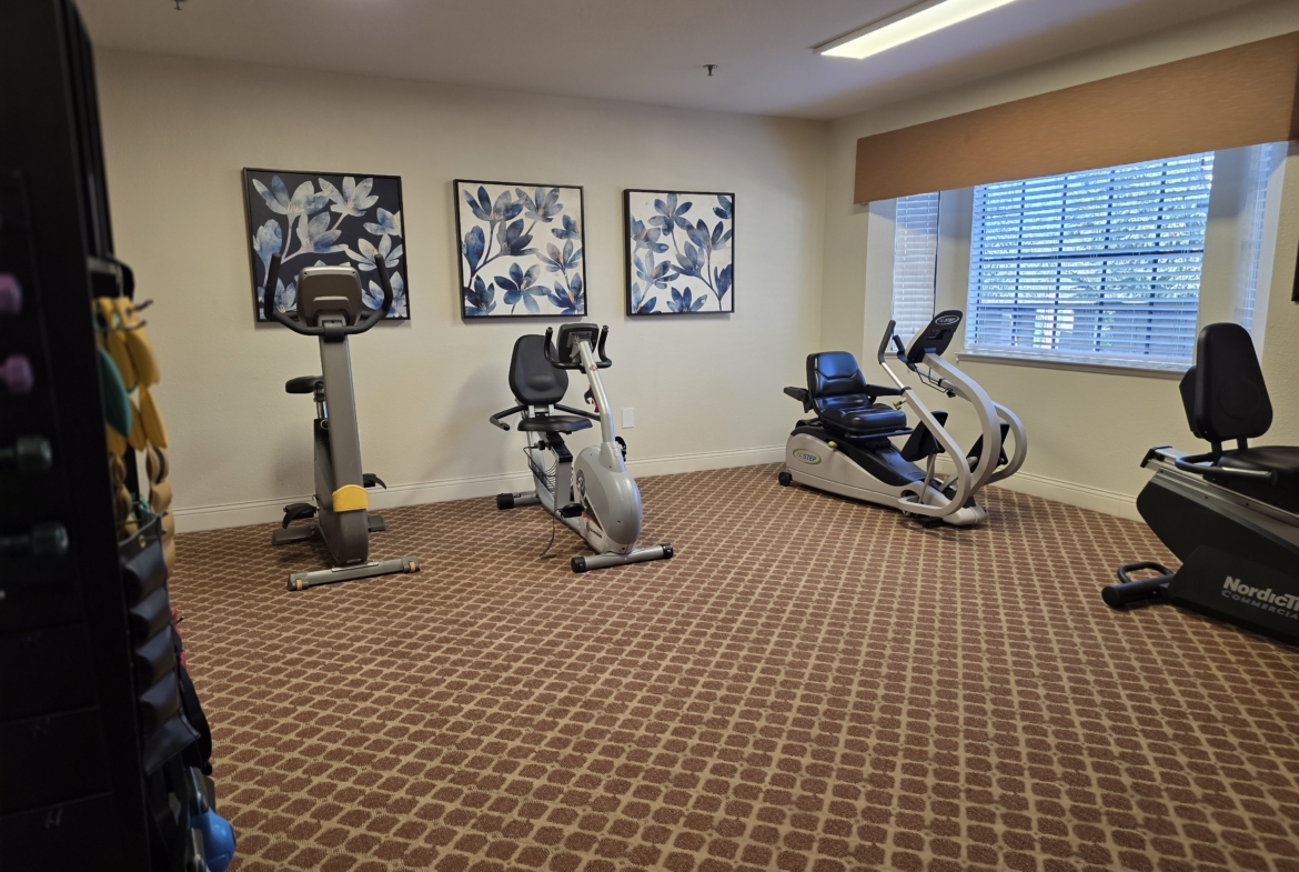 Small gym room with exercise bikes.